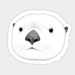 Sea Otter Face Sticker